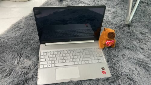 LAPTOP-HP