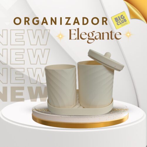 ORGANIZADOR
